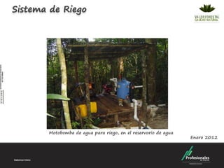 Sistema de Riego




       Motobomba de agua para riego, en el reservorio de agua
                                                                Enero 2012
 
