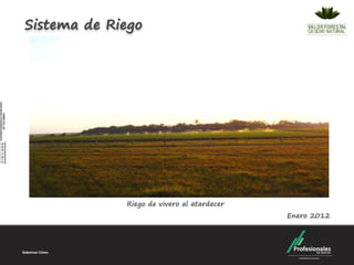 Sistema de Riego




             Riego de vivero al atardecer
                                            Enero 2012
 
