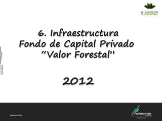 6. Infraestructura
Fondo de Capital Privado
    “Valor Forestal”


         2012
 