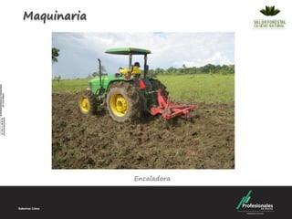 Maquinaria




             Encaladora
 