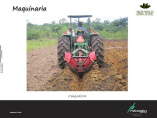 Maquinaria




             Zanjadora
 