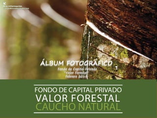 ÁLBUM FOTOGRÁFICO
Fondo de Capital Privado
“Valor Forestal”
Febrero 2015
 