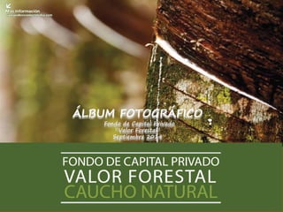 ÁLBUM FOTOGRÁFICO Fondo de Capital Privado “Valor Forestal” Septiembre 2014  