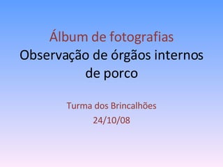 Álbum de fotografias  Observação de órgãos internos de porco Turma dos Brincalhões 24/10/08 