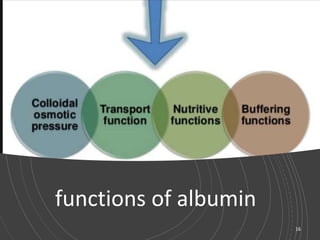 functions of albumin
16
 