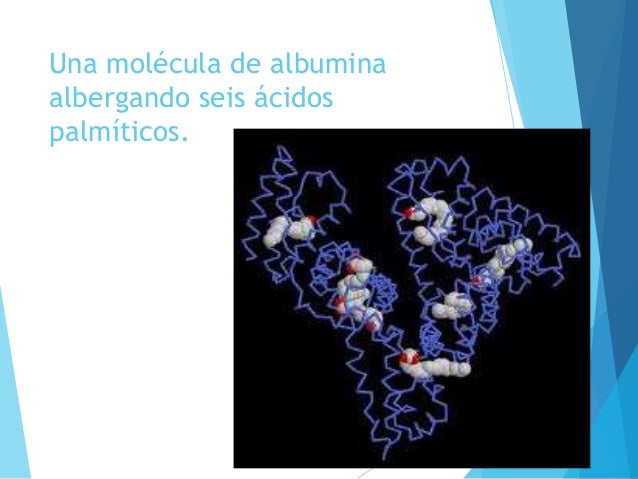 Albumina