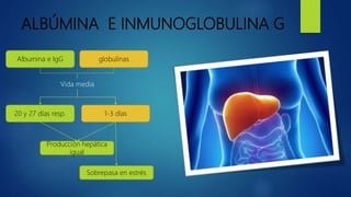 ALBÚMINA E INMUNOGLOBULINA G
20 y 27 días resp.
globulinasAlbumina e IgG
Vida media
1-3 días
Producción hepática
igual
Sobrepasa en estrés
 