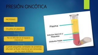 PRESIÓN ONCÓTICA
PROTEINAS
Disueltas en plasma
No se difunde en el espacio
intersticial
Cuando pequeñas cantidades de proteínas
difunden al fluido intersticial son removidas
por los vasos linfáticos
 