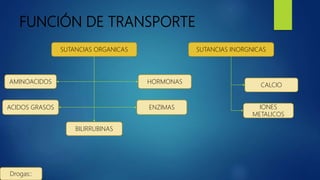 FUNCIÓN DE TRANSPORTE
SUTANCIAS ORGANICAS
AMINOACIDOS
ACIDOS GRASOS
BILIRRUBINAS
ENZIMAS
HORMONAS
Drogas::
SUTANCIAS INORGNICAS
IONES
METALICOS
CALCIO
 
