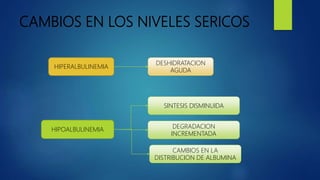 CAMBIOS EN LOS NIVELES SERICOS
HIPERALBULINEMIA
HIPOALBULINEMIA
DESHIDRATACION
AGUDA
SINTESIS DISMINUIDA
DEGRADACION
INCREMENTADA
CAMBIOS EN LA
DISTRIBUCION DE ALBUMINA
 