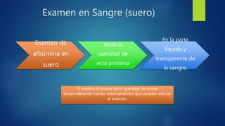 Examen en Sangre (suero)
Examen de
albúmina en
suero
Mide la
cantidad de
esta proteína
En la parte
líquida y
transparente de
la sangre.
El medico le puede decir que deje de tomar
temporalmente ciertos medicamentos que puedan afectar
el examen.
 