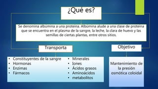 ¿Qué es?
Se denomina albúmina a una proteína. Albúmina alude a una clase de proteína
que se encuentra en el plasma de la sangre, la leche, la clara de huevo y las
semillas de ciertas plantas, entre otros sitios.
Transporta
• Constituyentes de la sangre
• Hormonas
• Enzimas
• Fármacos
• Minerales
• Iones
• Ácidos grasos
• Aminoácidos
• metabolitos
Objetivo
Mantenimiento de
la presión
osmótica coloidal
 