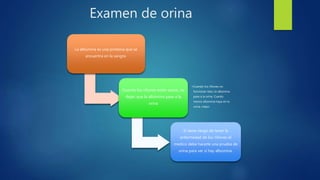 Examen de orina
La albúmina es una proteína que se
encuentra en la sangre.
Cuando los riñones están sanos, no
dejan que la albúmina pase a la
orina
•Cuando los riñones no
funcionan bien, la albúmina
pasa a la orina. Cuanto
menos albúmina haya en la
orina, mejor.
Si tiene riesgo de tener la
enfermedad de los riñones el
medico debe hacerle una prueba de
orina para ver si hay albúmina.
 
