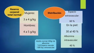 Mujeres:
3 a 4 g/kg
Hombres:
4 a 5 g/kg
Reserva
corporal
total normal
Espacio
extravascular:
60 %
En la piel:
30 al 40 %
Albúmina
intravascular:
40 %
Distribución
Adulto normal-300gr de
albumina
*120 Espacio vascular
*180 Esp. extravascular
 