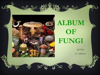 ALBUM
  OF
FUNGI
     Julio Mora

   I.C.: 23493721
 