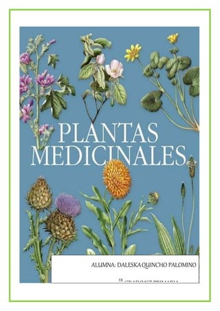 Album plantas medicinales_daleska