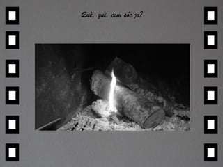 Què, qui, com sóc jo? 