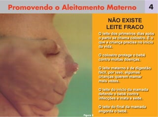Promovendo o Aleitamento Materno
O leite dos primeiros dias após
o parto se chama colostro. É o
que a criança precisa no início
da vida.
O colostro protege o bebê
contra muitas doenças.
O leite materno é de digestão
fácil, por isso, algumas
crianças querem mamar
mais vezes.
O leite do início da mamada
defende o bebê contra
infecções e mata a sede.
O leite do ﬁnal da mamada
engorda o bebê.
NÃO EXISTE
LEITE FRACO
4
Figura 8
 