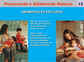 Promovendo o Aleitamento Materno
Oferecer somente o
leite do peito durante
os primeiros seis
meses de vida.
Após os seis
meses continuar
amamentando até os
dois anos de idade
ou mais e introduzir os
alimentos da família.
AMAMENTAÇÃO EXCLUSIVA
12
Figura 36 Figura 37
 
