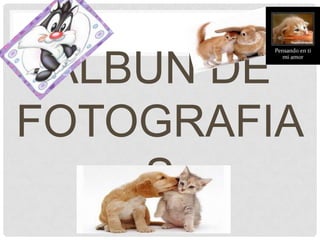 ALBUN DE
FOTOGRAFIA
S

 