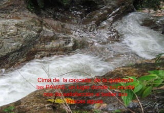 Cima de  la cascada  de la quebrada las PAVAS, un lugar donde su caudal nos da satisfacción al beber sus frescas aguas  