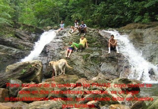 Parte superior de la quebrada las PAVAS, cuyo caudal se abre en dos maravillosas cascadas, es un lugar indiscutiblemente hermoso, que no puede faltar en nuestra guía turística. 