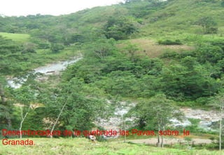 Desembocadura de la quebrada las Pavas, sobre  la Granada.   