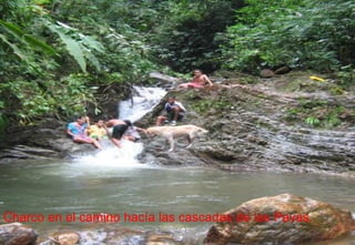 Charco en el camino hacía las cascadas de las Pavas.  