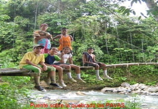 Puente sobre la quebrada las PAVAS.  