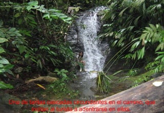 Una de tantas cascadas circundantes en el camino, que incitan al turista a adentrarse en ellas.  