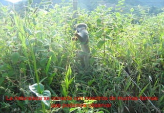 La naturaleza se conecta con nosotros de muchas formas que podemos observar  