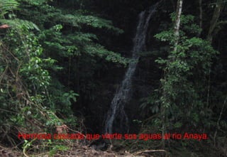 Hermosa cascada que vierte sus aguas al rio Anaya. 