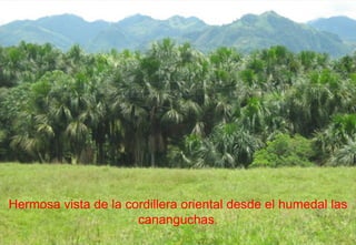 Hermosa vista de la cordillera oriental desde el humedal las cananguchas. 
