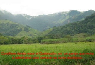Cordillera donde nace el Quebradón, es  un paraje que invita a adentrarse para conocer su curso ecológico. 