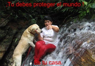 Es tu casa. ¡ Tu debes proteger el mundo ! 