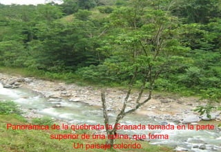 Panorámica de la quebrada la Granada tomada en la parte superior de una colina, que forma  Un paisaje colorido.  