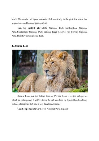 endangered animals in india