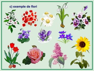 c) exemple de flori
 