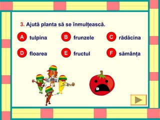 3. Ajută planta să se înmulţească.
tulpinaAA frunzeleBB rădăcinaCC
floareaDD fructulEE sămânţaFF
OOPS!
 
