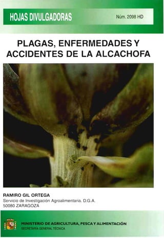 PLAGAS, ENFERMEDADESY
ACCIDENTES DE LA ALCACHOFA
RAMIRO GIL ORTEGA
Servicio de Investigación Agroalimentaria. D.G.A.
50080 ZARAGOZA
MINISTERIO DE AGRICULTURA, PESCAY ALIMENTACIÓN
SECRETARÍA GENERAL TÉCNiCA
 