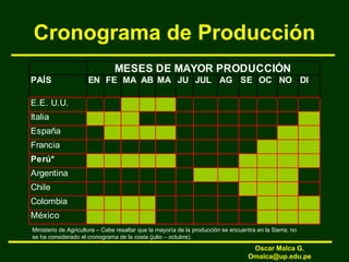 Cronograma de Producción
PAÍS EN FE MA AB MA JU JUL AG SE OC NO DI
E.E. U.U.
Italia
España
Francia
Perú*
Argentina
Chile
Colombia
México
MESES DE MAYOR PRODUCCIÓN
Ministerio de Agricultura – Cabe resaltar que la mayoría de la producción se encuentra en la Sierra; no
se ha considerado el cronograma de la costa (julio – octubre).
Oscar Malca G.
Omalca@up.edu.pe
 
