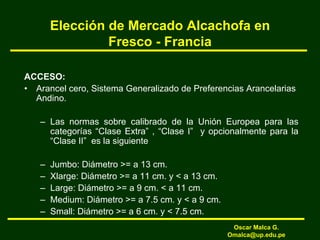 Elección de Mercado Alcachofa en
Fresco - Francia
ACCESO:
• Arancel cero, Sistema Generalizado de Preferencias Arancelarias
Andino.
– Las normas sobre calibrado de la Unión Europea para las
categorías “Clase Extra” , “Clase I” y opcionalmente para la
“Clase II” es la siguiente
– Jumbo: Diámetro >= a 13 cm.
– Xlarge: Diámetro >= a 11 cm. y < a 13 cm.
– Large: Diámetro >= a 9 cm. < a 11 cm.
– Medium: Diámetro >= a 7.5 cm. y < a 9 cm.
– Small: Diámetro >= a 6 cm. y < 7.5 cm.
Oscar Malca G.
Omalca@up.edu.pe
 