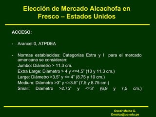 Elección de Mercado Alcachofa en
Fresco – Estados Unidos
ACCESO:
- Arancel 0, ATPDEA
- Normas establecidas: Categorías Extra y I para el mercado
americano se consideran:
Jumbo: Diámetro > 11.3 cm.
Extra Large: Diámetro > 4 y <=4.5” (10 y 11.3 cm.)
Large: Diámetro >3.5” y <= 4” (8.75 y 10 cm.)
Medium: Diámetro >3” y <=3.5” (7.5 y 8.75 cm.)
Small: Diámetro >2.75” y <=3” (6,9 y 7,5 cm.)
Oscar Malca G.
Omalca@up.edu.pe
 