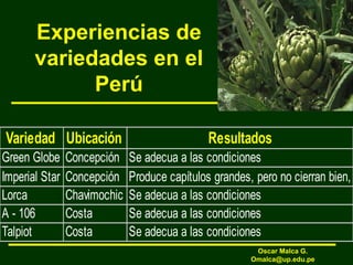 Experiencias de
variedades en el
Perú
Variedad Ubicación Resultados
Green Globe Concepción Se adecua a las condiciones
Imperial Star Concepción Produce capítulos grandes, pero no cierran bien,
Lorca Chavimochic Se adecua a las condiciones
A - 106 Costa Se adecua a las condiciones
Talpiot Costa Se adecua a las condiciones
Oscar Malca G.
Omalca@up.edu.pe
 