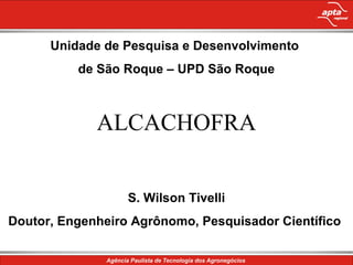 Unidade de Pesquisa e Desenvolvimento
de São Roque – UPD São Roque
ALCACHOFRA
S. Wilson Tivelli
Doutor, Engenheiro Agrônomo, Pesquisador Científico
 
