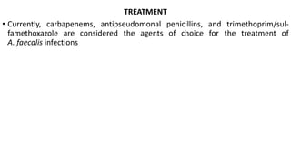 TREATMENT
• Currently, carbapenems, antipseudomonal penicillins, and trimethoprim/sul-
famethoxazole are considered the agents of choice for the treatment of
A. faecalis infections
 