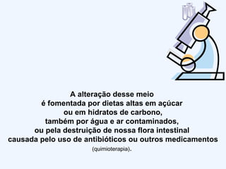 A alteração desse meio  é fomentada por dietas altas em açúcar  ou em hidratos de carbono, também por água e ar contaminados,  ou pela destruição de nossa flora intestinal  causada pelo uso de antibióticos ou outros medicamentos   (quimioterapia) .  