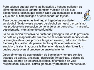 Pero sucede que así como las bacterias y hongos obtienen su
alimento de nuestra sangre, también vuelcan en ella sus
desperdicios, toxinas que tornan cada vez más ácido el medio
y que con el tiempo llegan a “envenenar” los tejidos.
Para poder procesar las toxinas, el hígado las convierte
en alcohol (ácido) y ese exceso de alcohol en nuestro organismo,
nos produce una sensacion como la de estar borracho... mareado,
desorientado, mentalmente confundido.
La acumulación excesiva de bacterias y hongos reduce la provisión
de potasio y magnesio del cuerpo con la consecuente reducción de
la energía celular que provoca fatiga en exceso, reducción de las
fuerzas y la claridad de pensamiento, quita el entusiasmo, la
ambición, la stamina; causa la liberación de radicales libres los
cuales coadyuvan al proceso de envejecimiento.
Otros síntomas de acumulación de bacterias y hongos son los
ataques de pánico, ansiedad, depresión, irritabilidad, dolores de
cabeza, dolores en las articulaciones, inflamación en vías
respiratorias, sinusitis, estrés glandular y problemas menstruales.
 