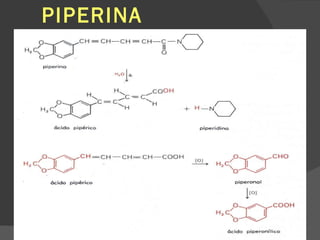 PIPERINA 
