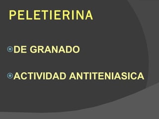 PELETIERINA DE GRANADO ACTIVIDAD ANTITENIASICA 